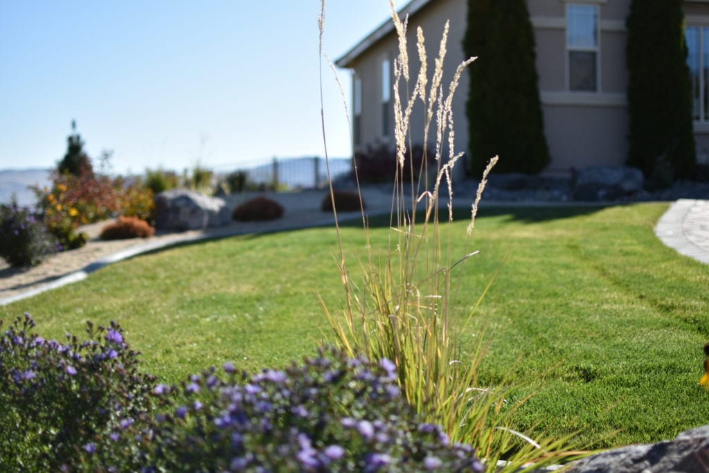 IMG_0049 Legends Landscaping Reno Sparks Landscape Design Company